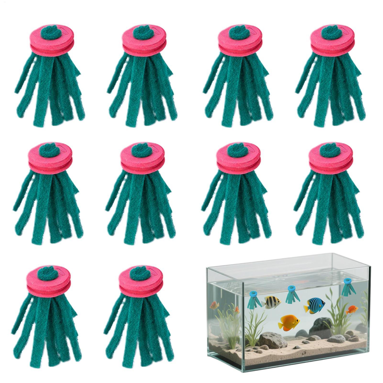 Aquarium Fish Eggs - 10개 수족관 부화용 모프 장식용 부화지