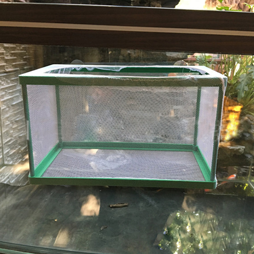 Aquarium Fish Rate - 수족관 물고기 번식 격리 상자, 산란장어용