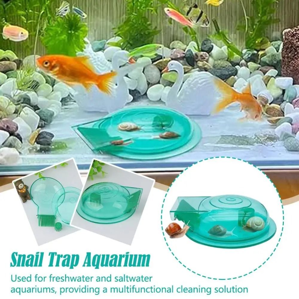 Aquarium Fish Eggs - 담수 해수 수족관 달팽이 트랩 효과적인