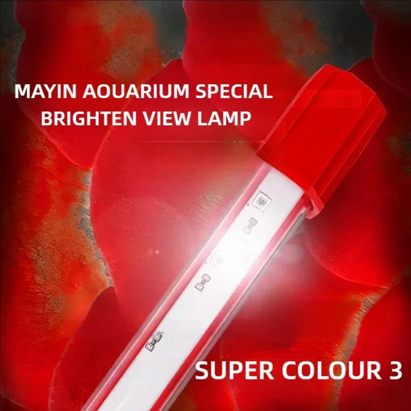 Aquarium Fish Colorful - 메이인 레드 아로와나 라이트 아쿠아리움 특수