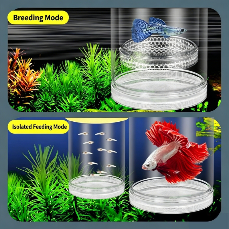 Aquarium Fish Betta - 투명 플로팅 어항 부화 상자, 구피,