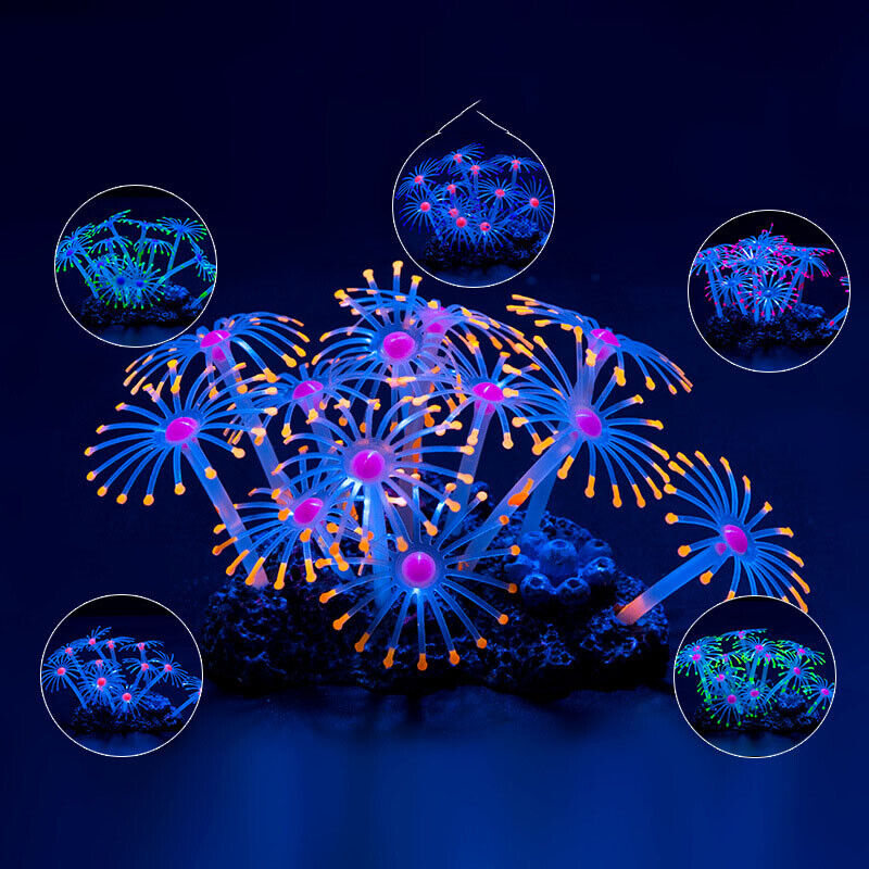 실리콘 발광 조경 인공 어항 물광 발광 산호 해바라기  - Aquarium Fish Artificial 리뷰 및 가격