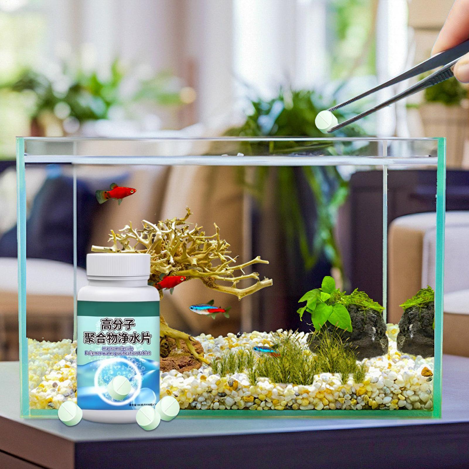어항 물 정화제 알개 제거제 타블렛, 분수, 베타, 새 - Aquarium Fish Betta 리뷰 및 가격