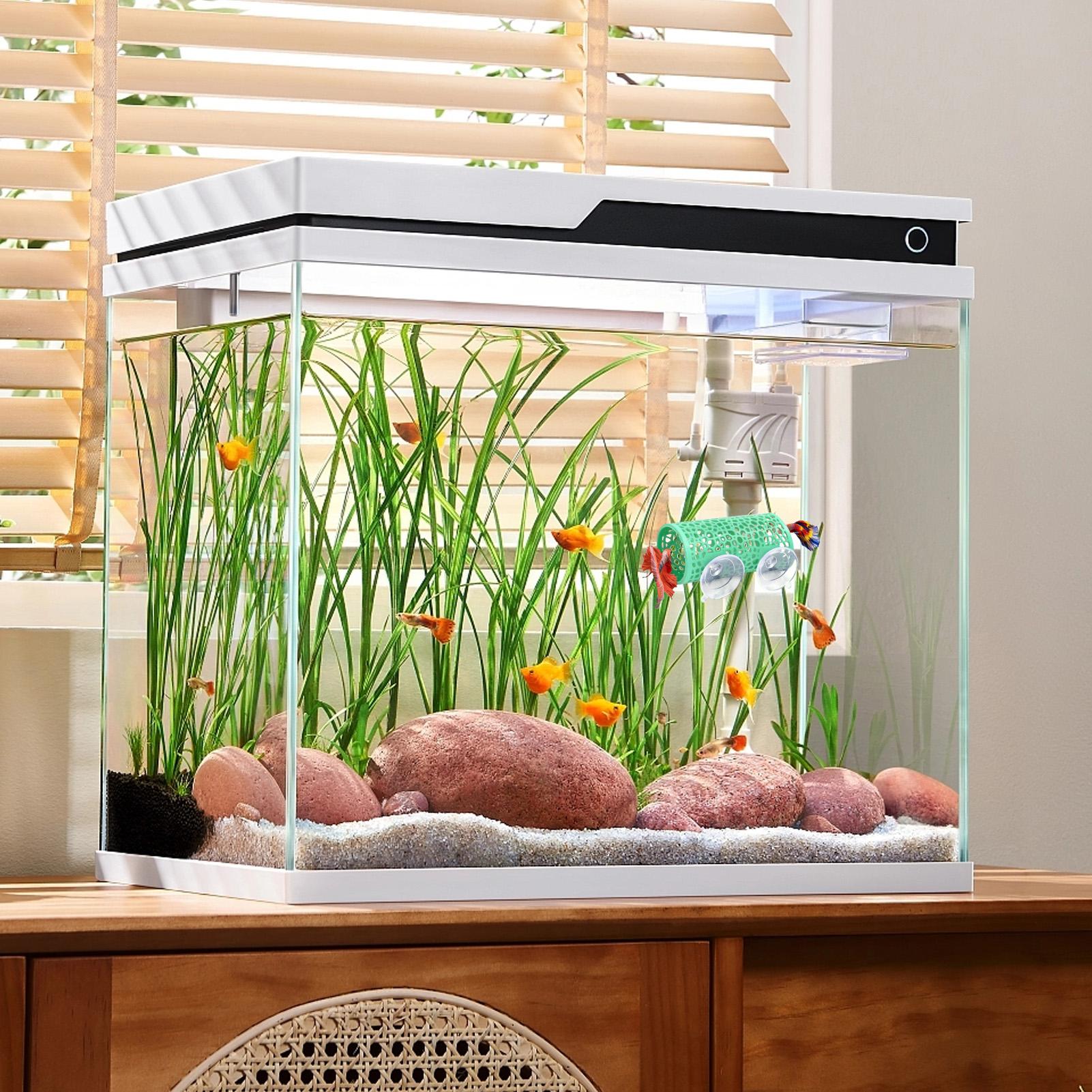 베타 생태 환경 휴식처 장식품 물고기 터널 장난감, 수 - Aquarium Fish Betta 리뷰 및 가격