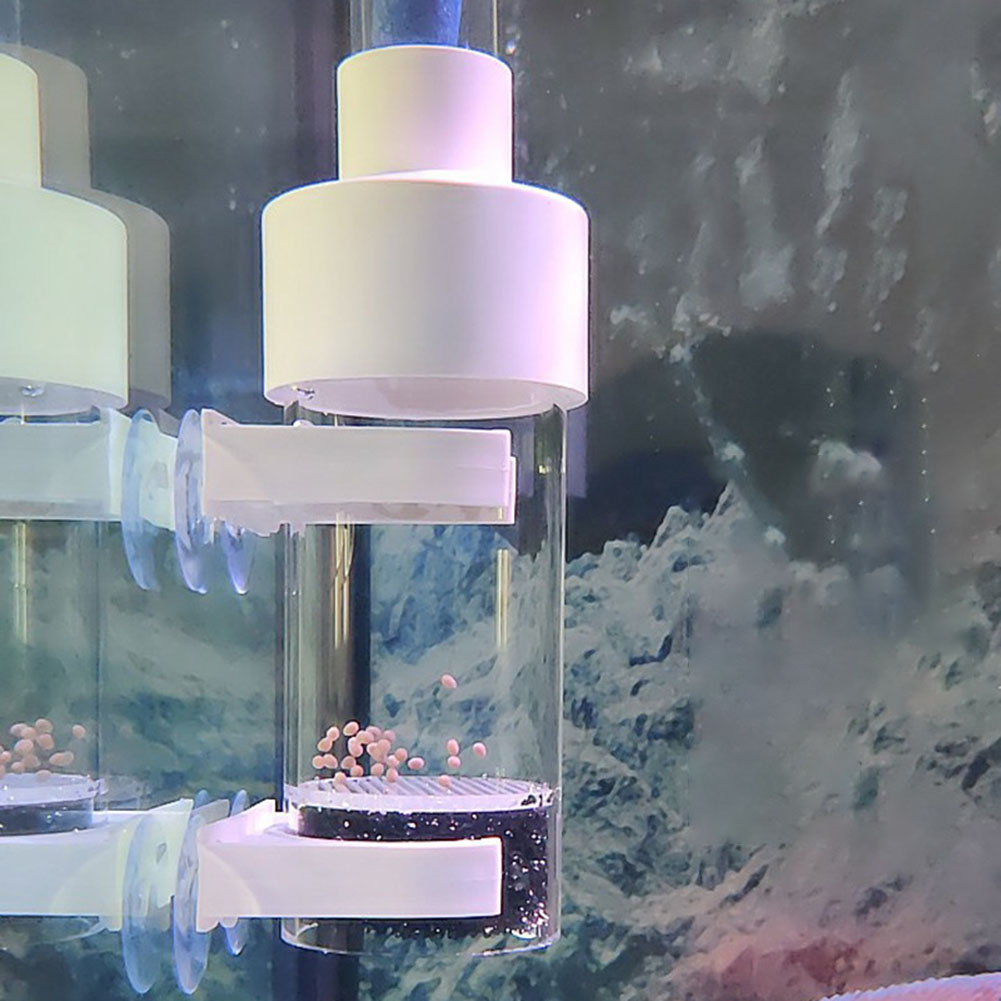 40mm 텀블러 인큐베이터 물고기 부화장 입 육추 수족 - Aquarium Fish Eggs 리뷰 및 가격