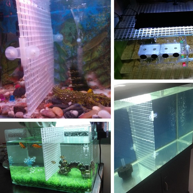 탱크 분배기용 물고기 수족관 분리 플레이트 그리드 보드 - Aquarium Fish Eggs 리뷰 및 가격
