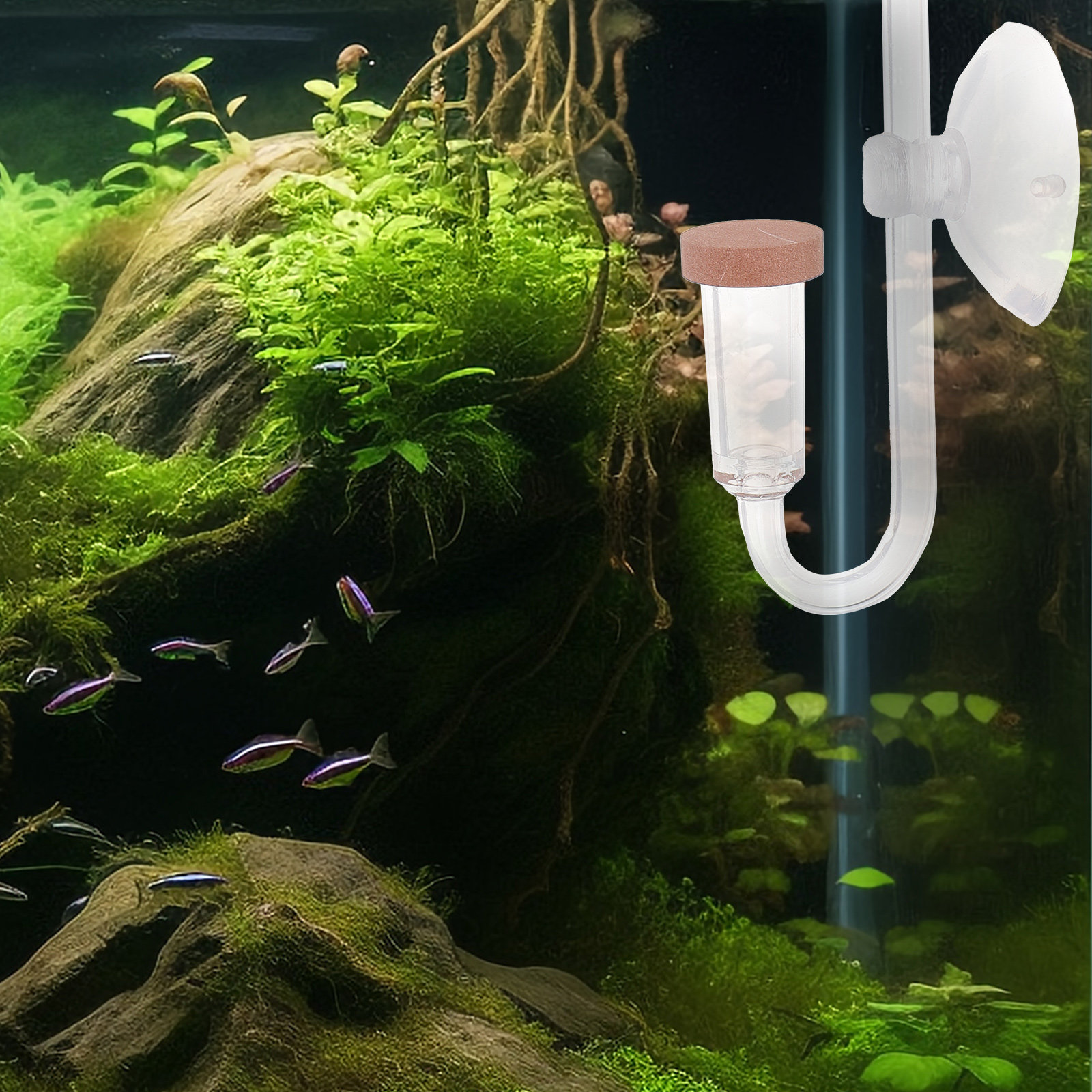 어항 CO2 정화기 투명 아크릴 디퓨저 수족관 산소 정 - Aquarium Fish Rate 리뷰 및 가격