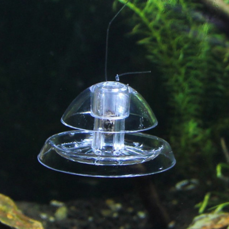 물고기 탱크 수족관 클리너, 달팽이 트랩 캐처, 식물  - Aquarium Fish Eggs 리뷰 및 가격