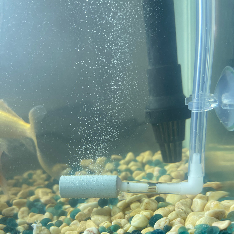CO2 시스템 조절기 우수한 CO2 용해율. 분무기 분 - Aquarium Fish Rate 리뷰 및 가격