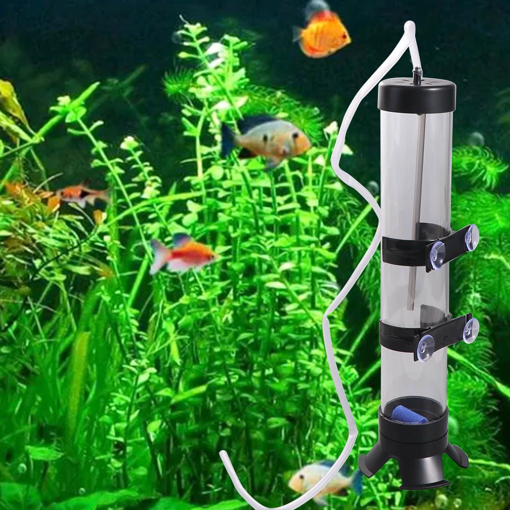 플라스틱 아르테미아 알 부화기 분리형 아르테미아 부화장 - Aquarium Fish Eggs 리뷰 및 가격