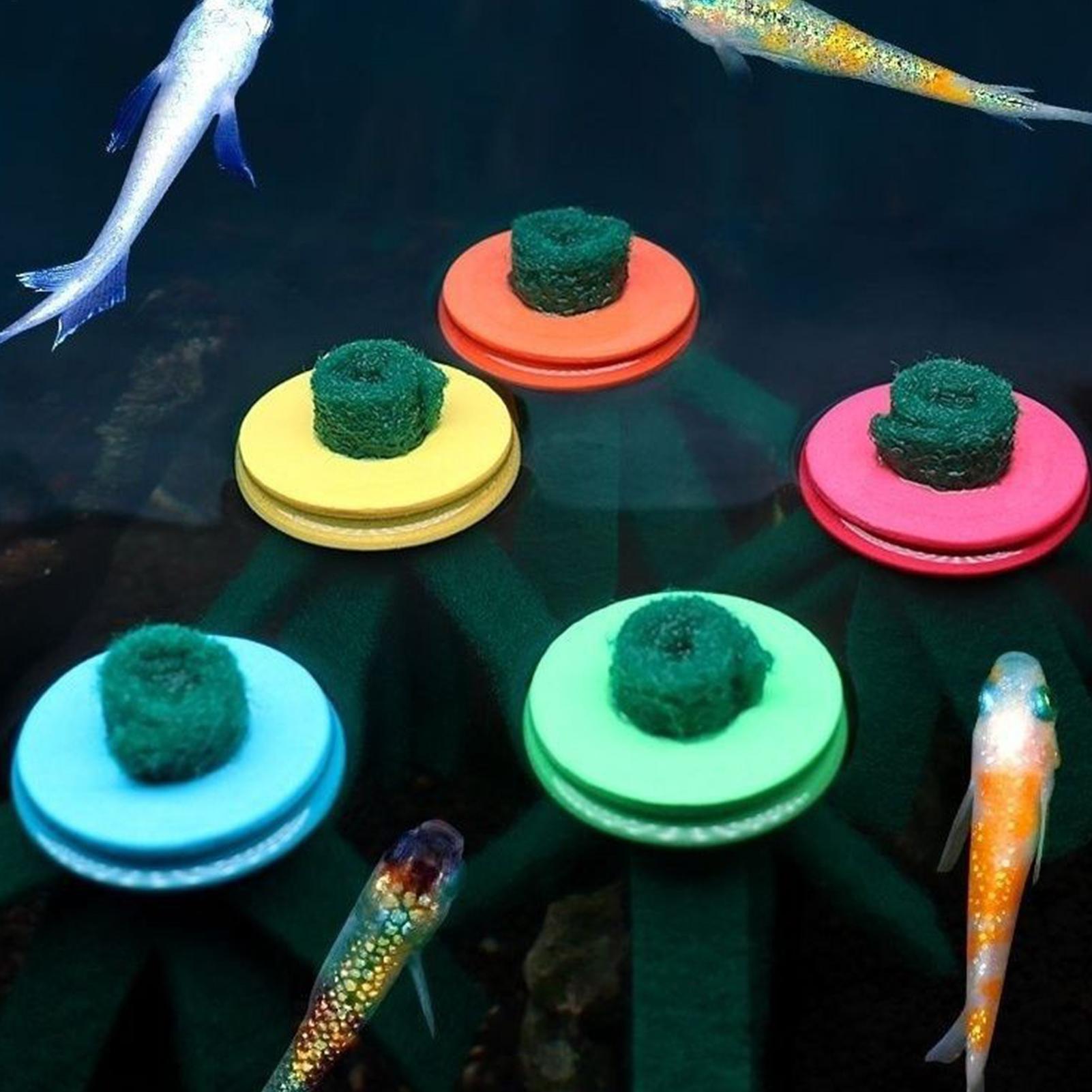 10개 수족관 부화용 모프 장식용 부화지 플로팅 에그  - Aquarium Fish Eggs 리뷰 및 가격