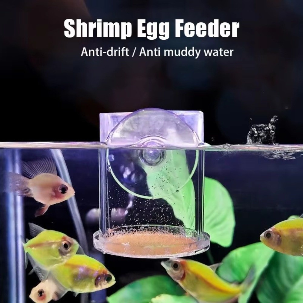 아크릴 브라인 쉬림프 피더 고정형 투명 어항 먹이컵 흡 - Aquarium Fish Eggs 리뷰 및 가격