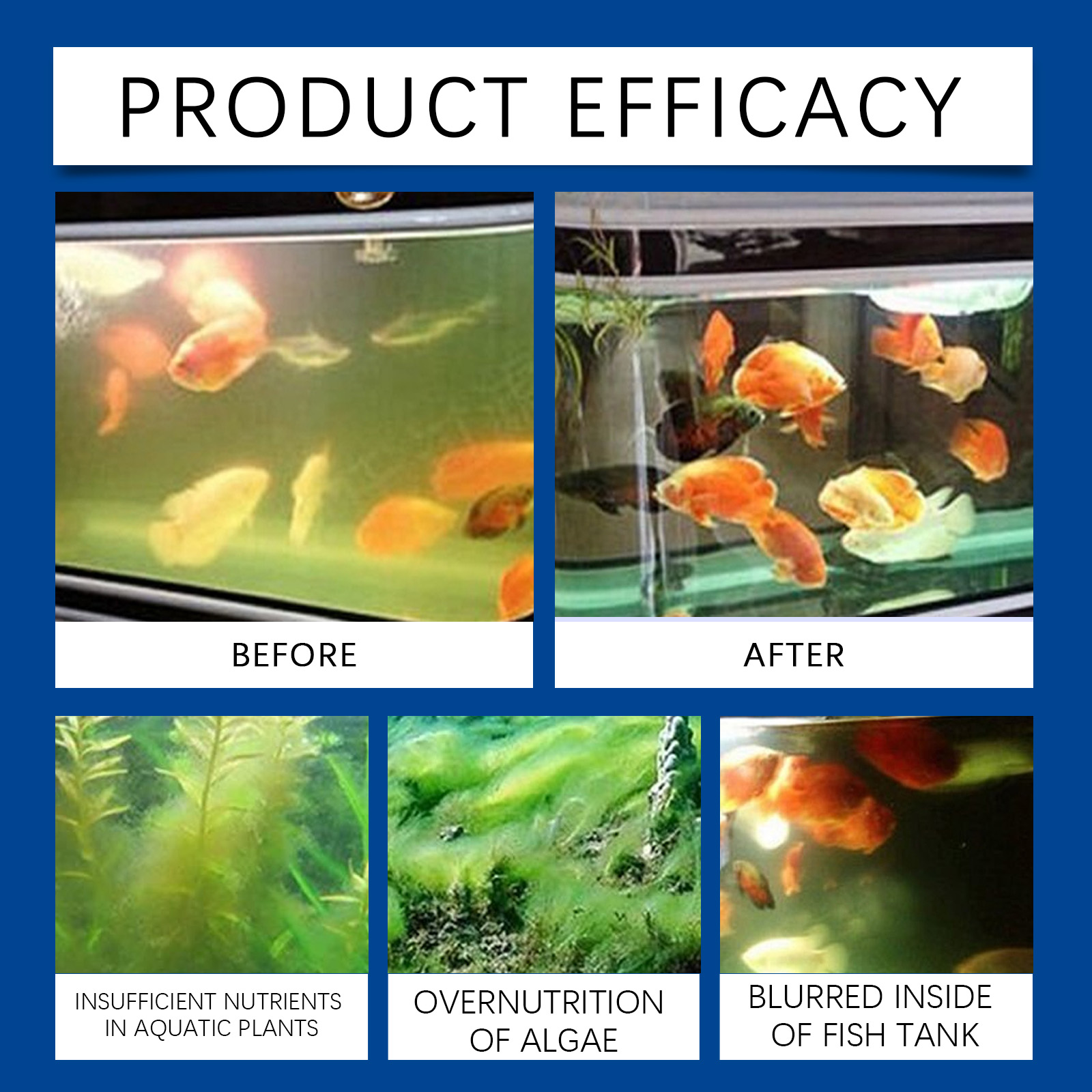 수족관 물 정화기 100ml 담수 바닷물 물고기 탱크  - Aquarium Fish Quality 리뷰 및 가격