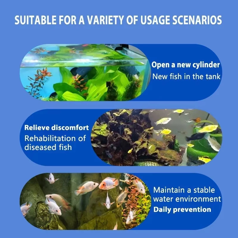 시케잔 어류 질병 치료 및 질소화 세균 |   담수/해 - Aquarium Fish Quality 리뷰 및 가격