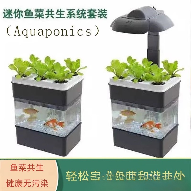 수조 수족관 작은 생태 수출 - Aquarium Fish Exporter 리뷰 및 가격