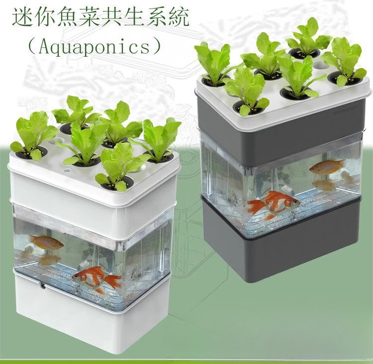 수조 수족관 작은 생태 수출 - Aquarium Fish Exporter 리뷰 및 가격