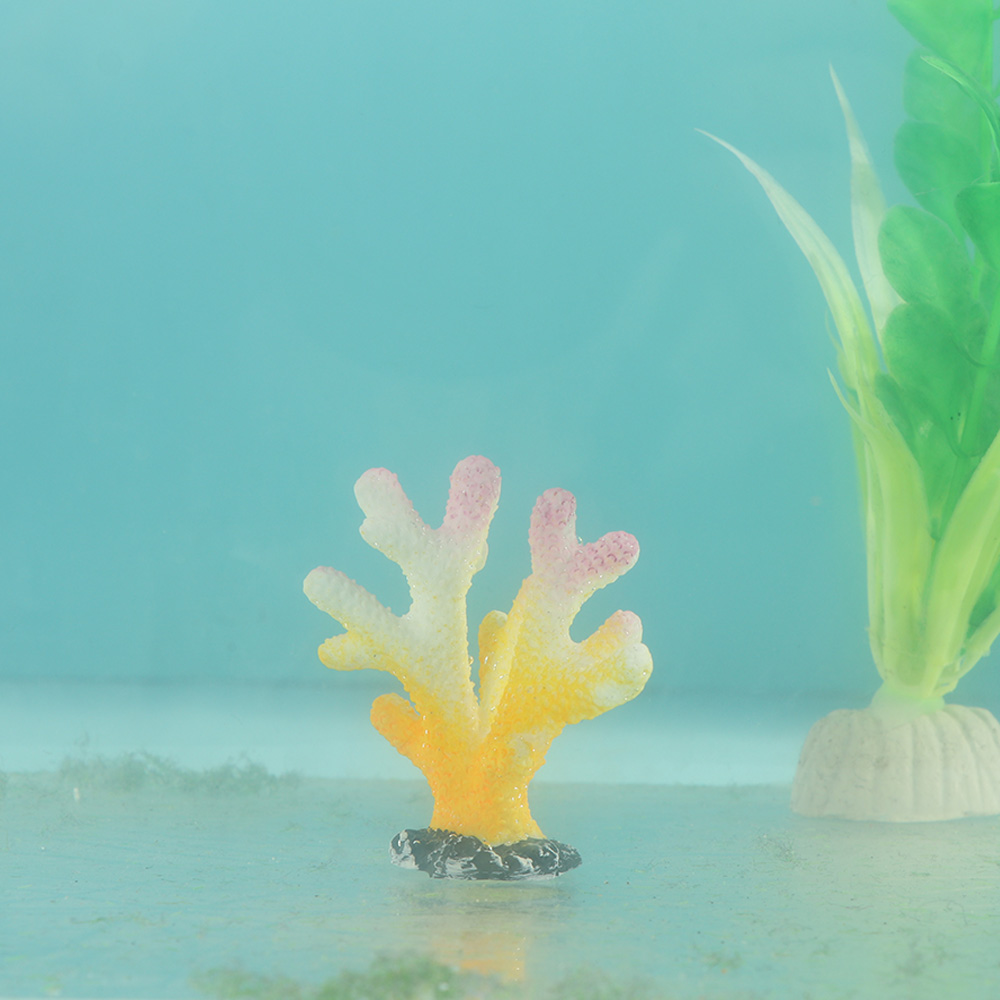 인공 산호 어항 장식, 시뮬레이션 불가사리 수지 암초  - Aquarium Fish Artificial 리뷰 및 가격