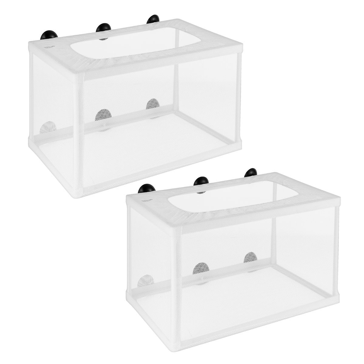 2개입 어망 양식장 대형 어종 분리기 수족관 흡착판 어 - Aquarium Fish Rate 리뷰 및 가격