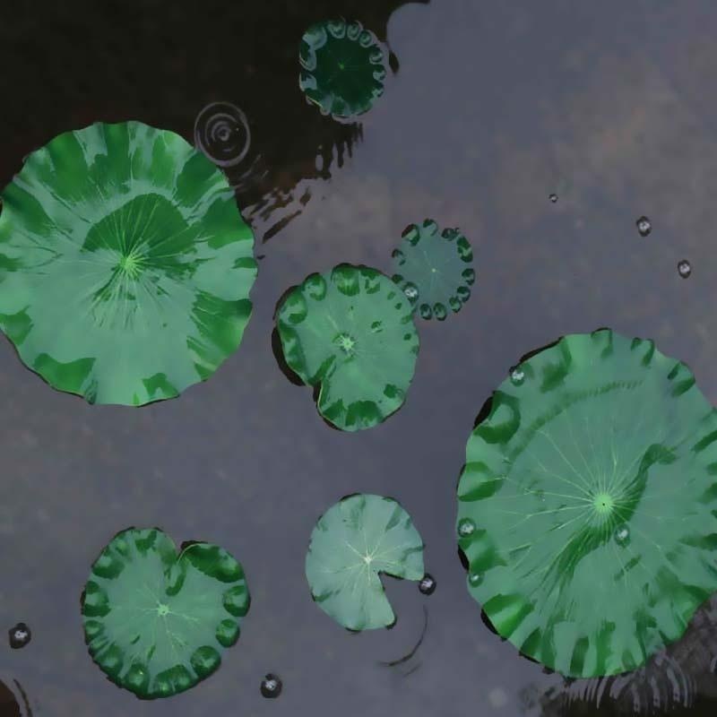 2026년 인공 수련 꽃 없는 연잎 연못 장식 수족관  - Aquarium Fish Artificial 리뷰 및 가격