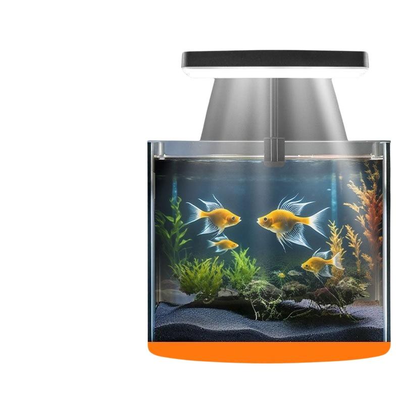 USB 수족관 클립 조명, 가정 사무실 데스크탑 어항  - Aquarium Fish In 리뷰 및 가격