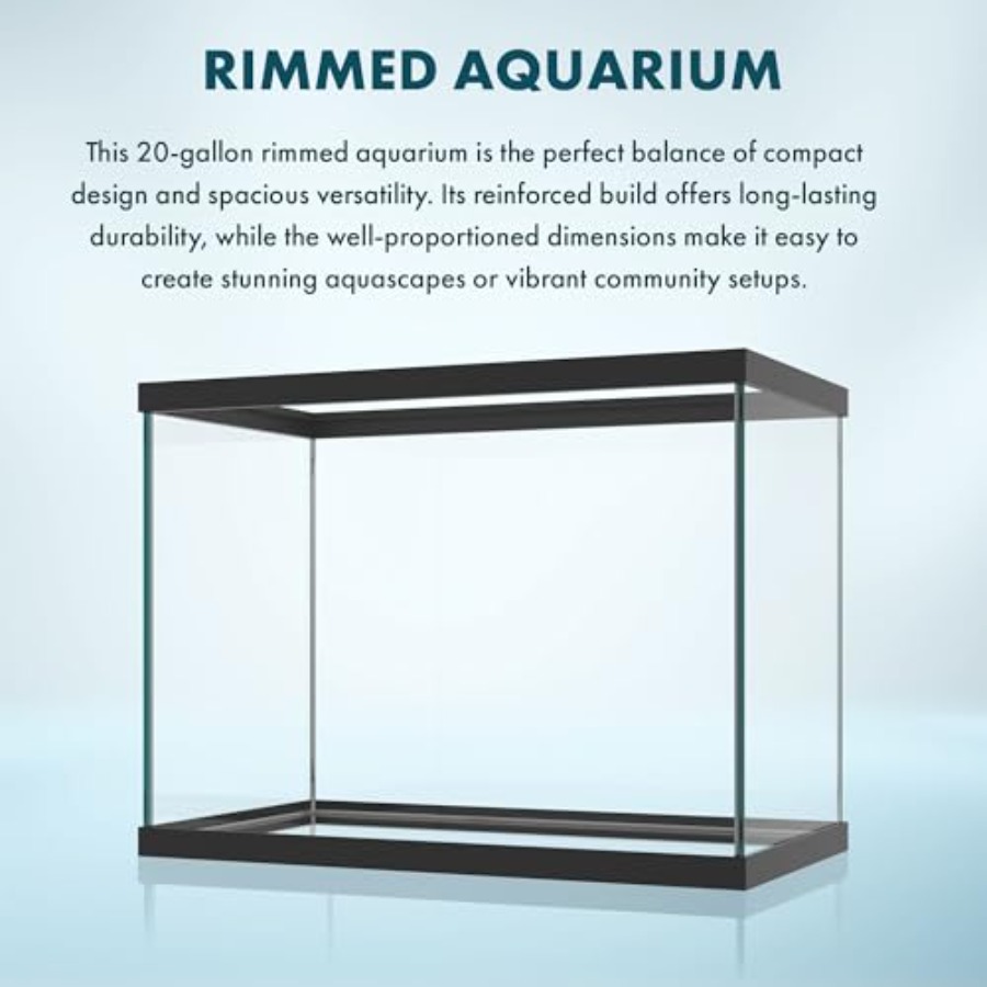 20갤런 유리 수족관 - 24 x 12.5 x 17.2 - Aquarium Fish Betta 리뷰 및 가격