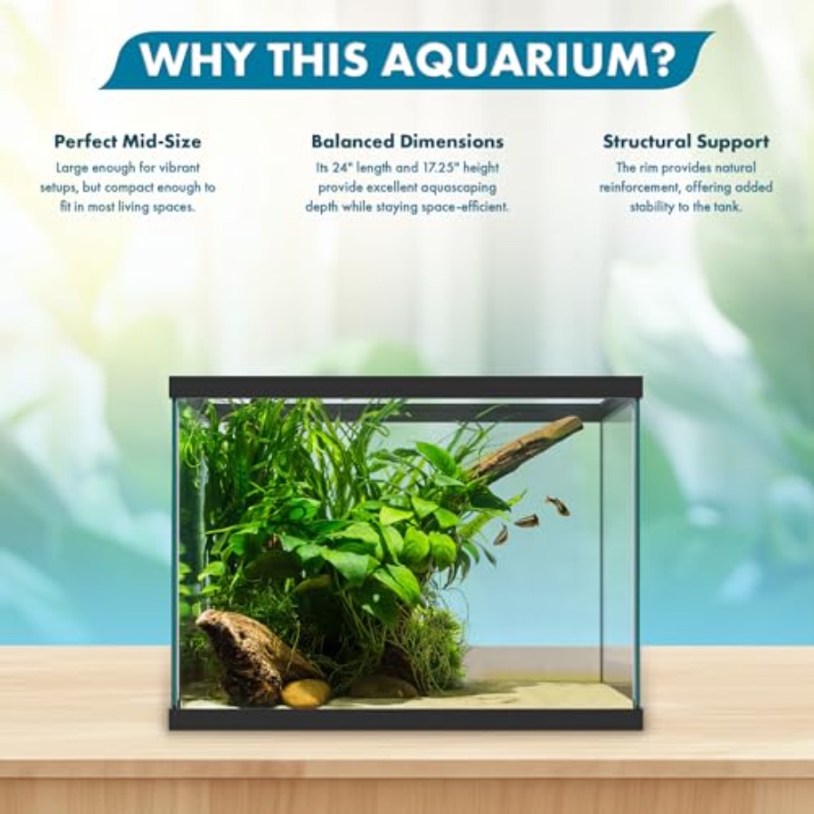 20갤런 유리 수족관 - 24 x 12.5 x 17.2 - Aquarium Fish Betta 리뷰 및 가격