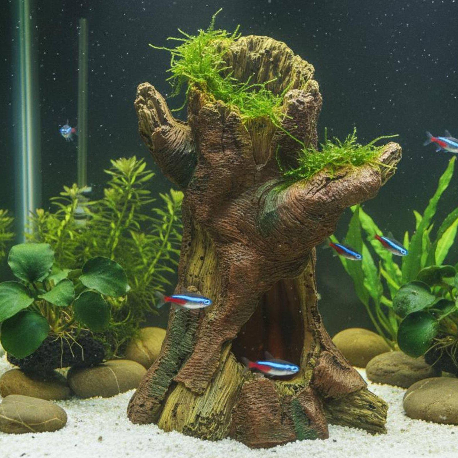 수족관 조경 장식 수족관 데코 레진 나무 줄기 쉼터 ( - Aquarium Fish In 리뷰 및 가격