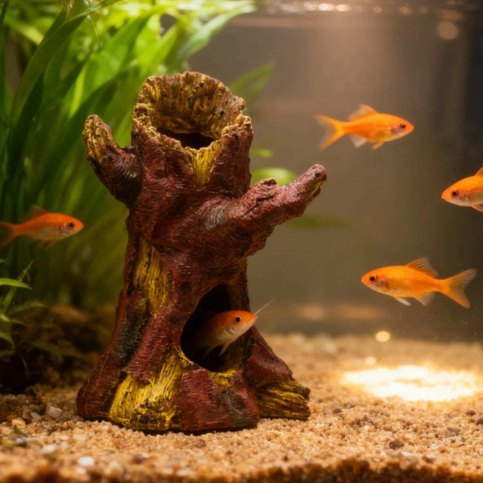 수족관 조경 장식 수족관 데코 레진 나무 줄기 쉼터 ( - Aquarium Fish In 리뷰 및 가격