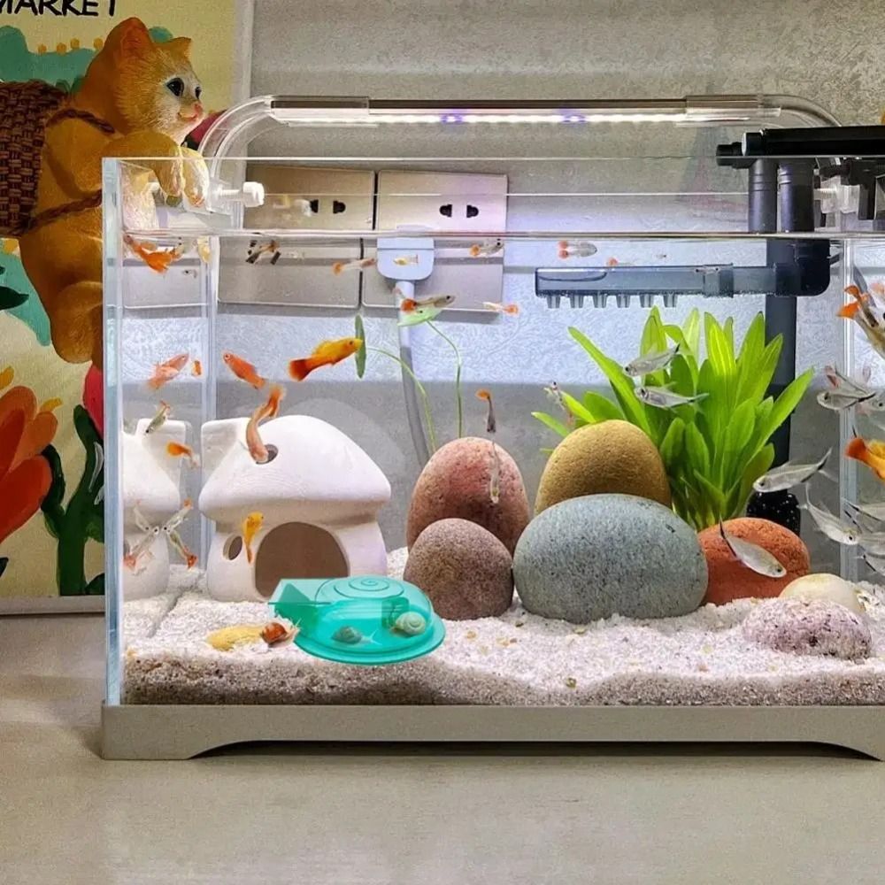 담수 해수 수족관 달팽이 트랩 효과적인 다목적 달팽이  - Aquarium Fish Eggs 리뷰 및 가격