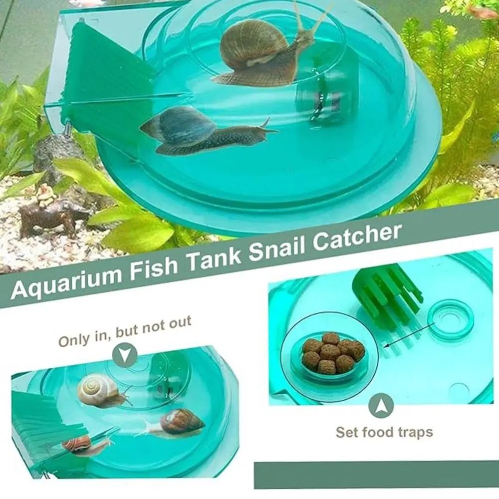 담수 해수 수족관 달팽이 트랩 효과적인 다목적 달팽이  - Aquarium Fish Eggs 리뷰 및 가격