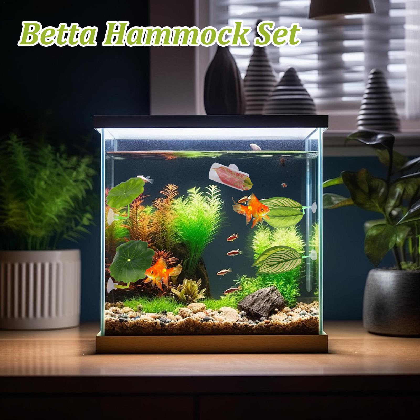 베타 물고기 해먹 5개 조절 가능한 베타 잎 해먹 물고 - Aquarium Fish Betta 리뷰 및 가격