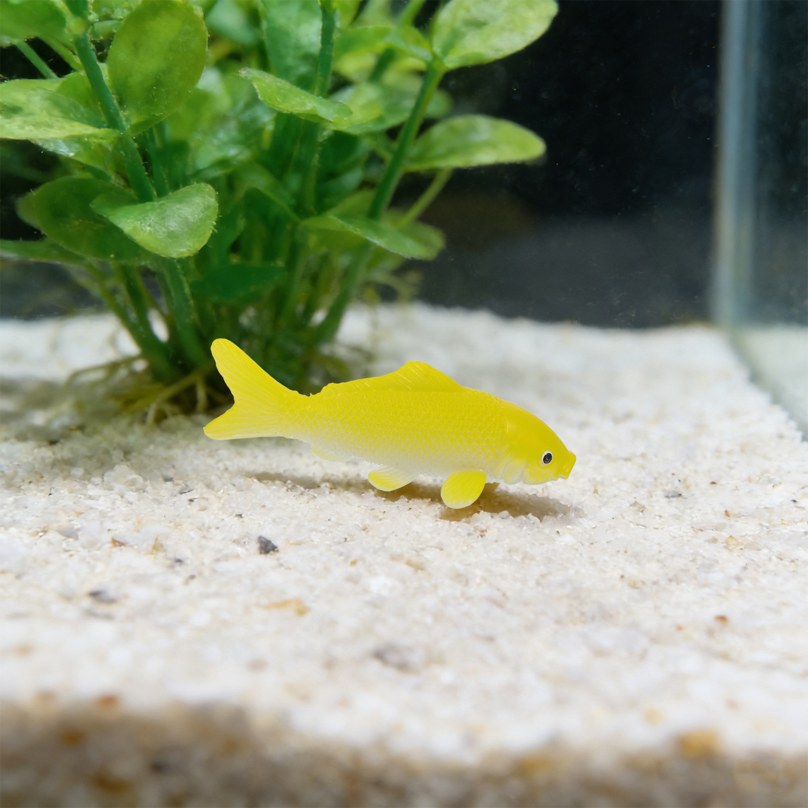 3pcs 물고기 공예 장난감 현실적인 플라스틱 물고기  - Aquarium Fish Artificial 리뷰 및 가격