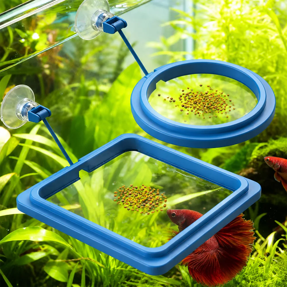 베타 물고기 먹이 플로팅 미니 펠릿, 수족관 급식 링  - Aquarium Fish Eggs 리뷰 및 가격