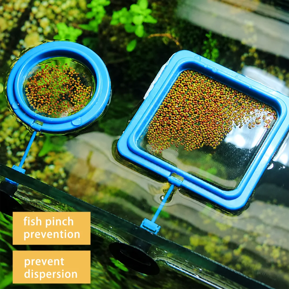 베타 물고기 먹이 플로팅 미니 펠릿, 수족관 급식 링  - Aquarium Fish Eggs 리뷰 및 가격