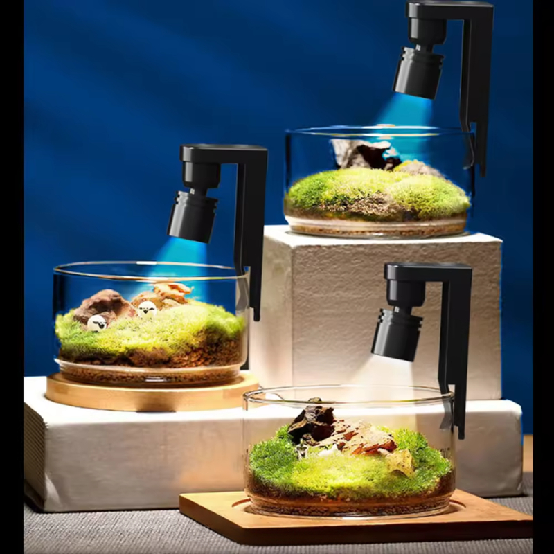 USB 클램프 라이트 미니 물고기 탱크 수족관에 대 한 - Aquarium Fish Colorful 리뷰 및 가격