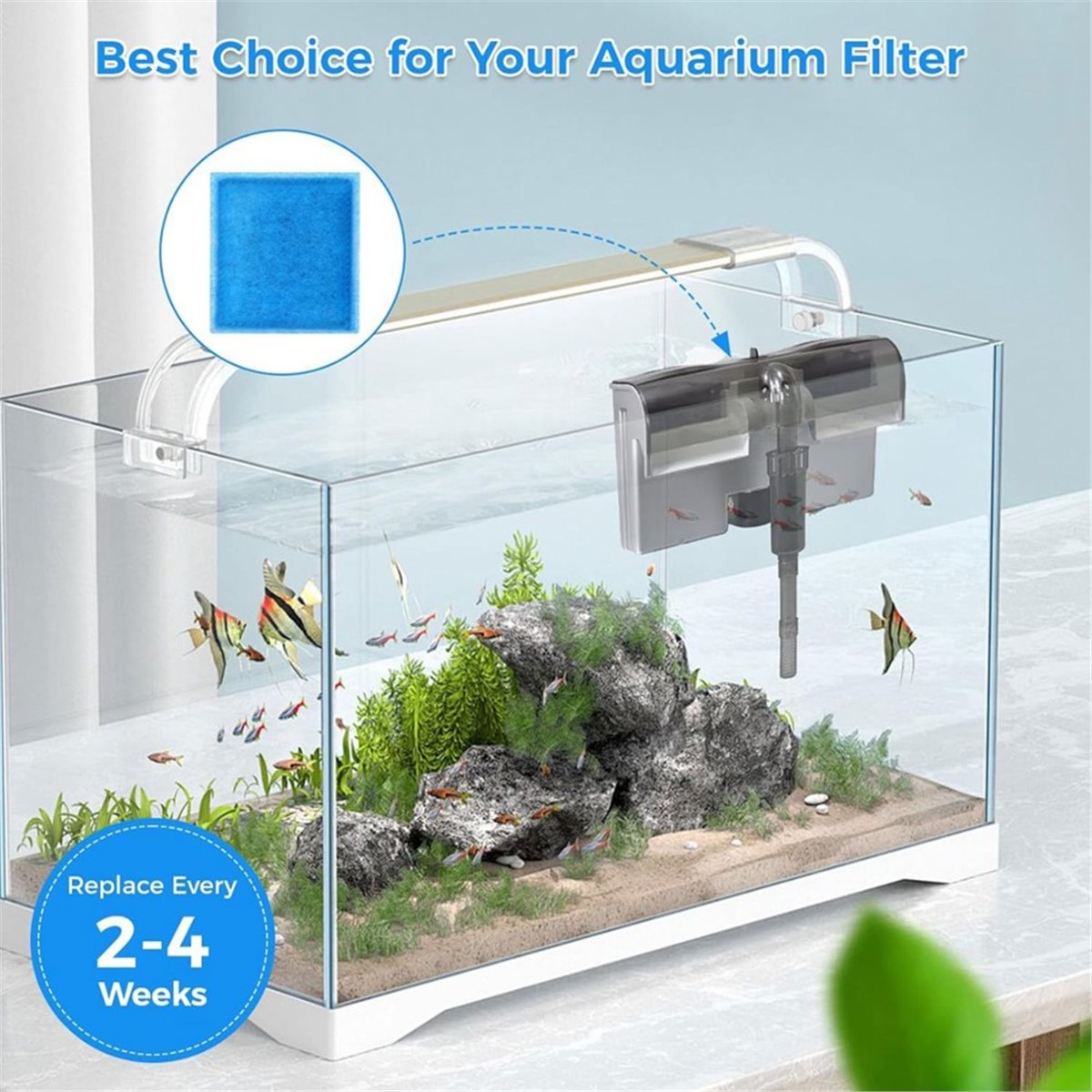 《최고 등급》10개 수족관 필터 교체 카트리지, 펭귄  - Aquarium Fish Rate 리뷰 및 가격