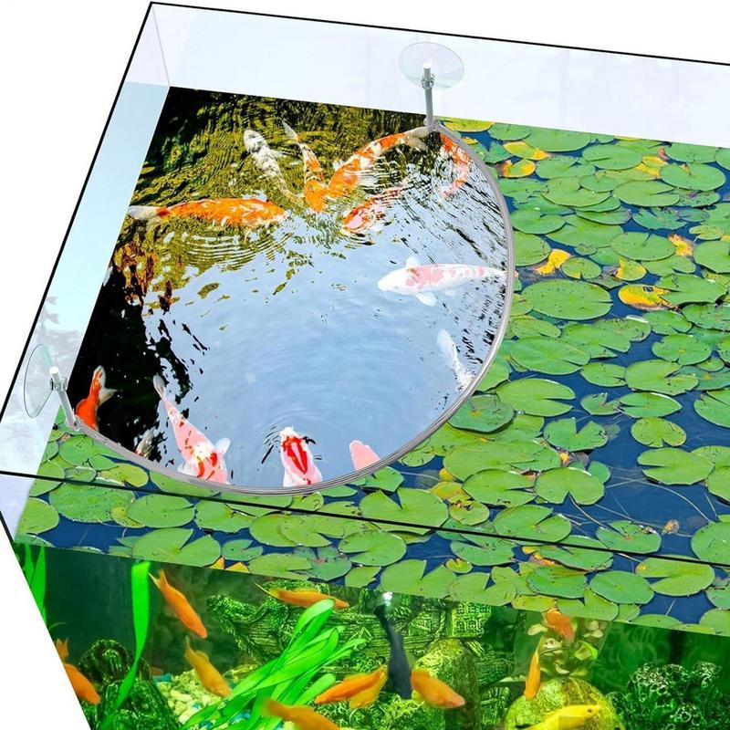 부동 식물 마구간 물고기 먹이 링 분리 및 보호 부동  - Aquarium Fish Quality 리뷰 및 가격