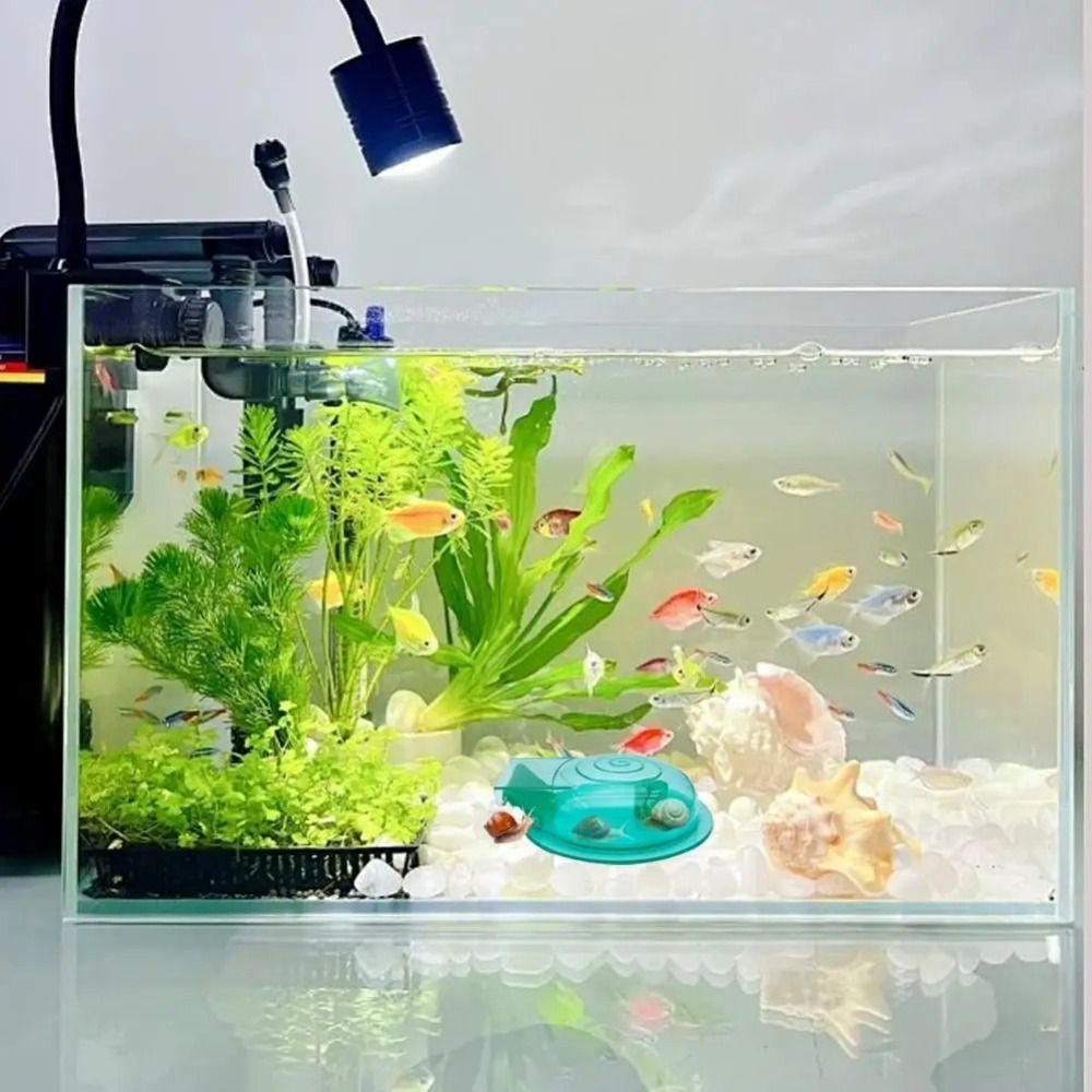 담수 해수 수족관 달팽이 트랩 다용도 효과적인 달팽이  - Aquarium Fish Eggs 리뷰 및 가격
