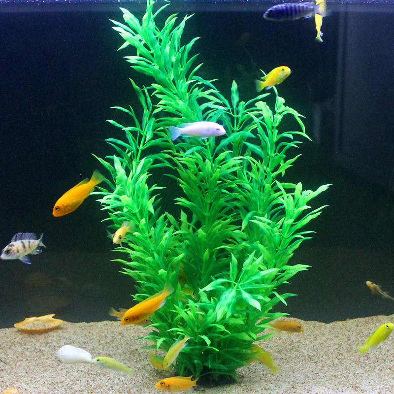 50CM 인조 어항 희귀 식물 수족관 가짜 대나무 잎  - Aquarium Fish Artificial 리뷰 및 가격
