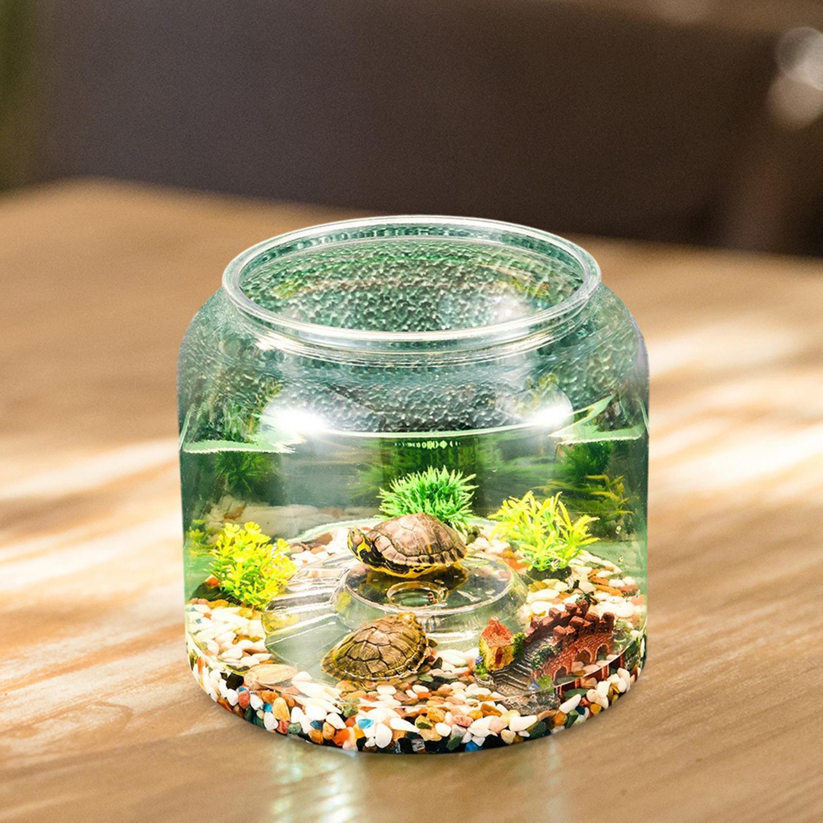 아파트 침실 거실용 테이블탑 거북이 사육장 - Draw Fish Aquarium 리뷰 및 가격