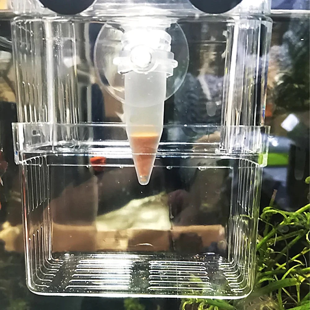 자동 물고기 먹이 공급기 콘 새우 알 벌레 투입컵 먹이 - Aquarium Fish Eggs 리뷰 및 가격