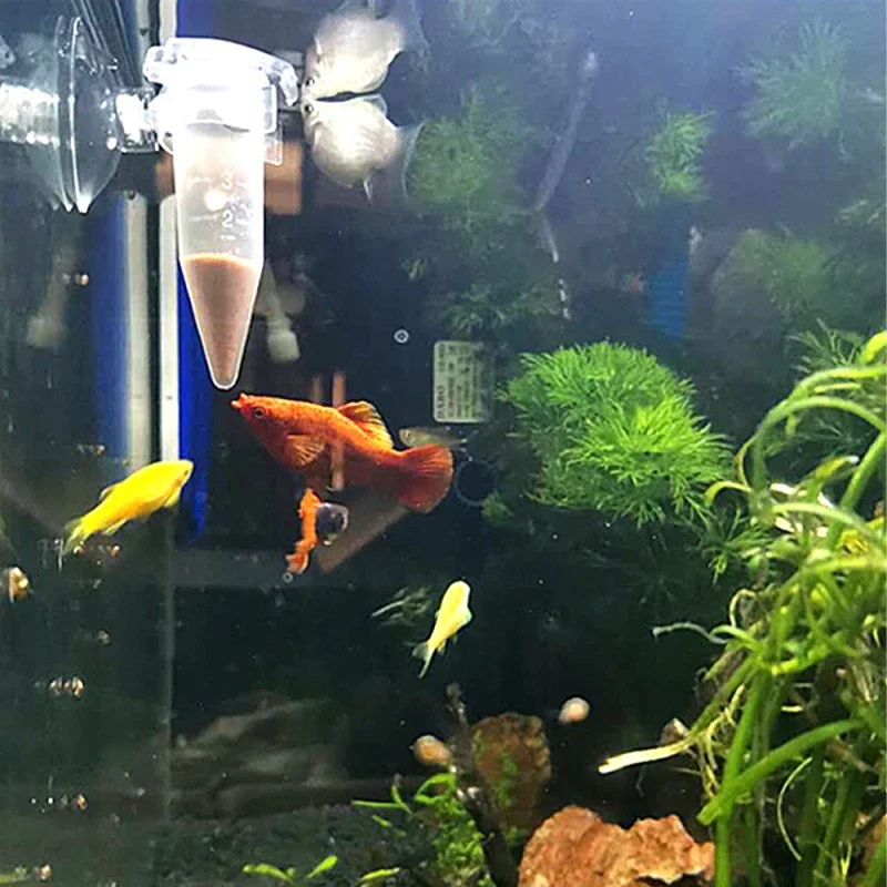 자동 물고기 먹이 공급기 콘 새우 알 벌레 투입컵 먹이 - Aquarium Fish Eggs 리뷰 및 가격